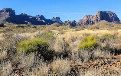 The Chisos Mountains with the Chihuahuan Desert in the foreground in Big Bend National Park