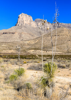 Guadalupe Mountains National Park - Texas
