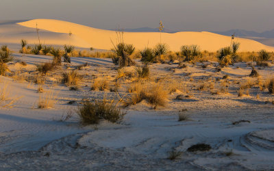Sunrise reflected on the dunes in White Sands National Monument