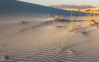 The sun accentuating the wave pattern in the sand in White Sands National Monument