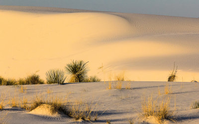 Early morning light on the gypsum dunes in White Sands National Monument