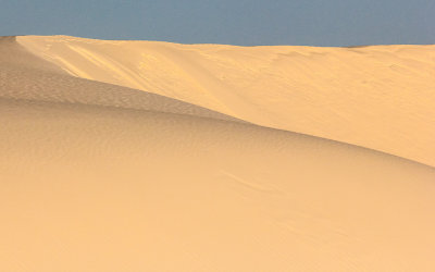 Dunes glow in the light of sunrise in White Sands National Monument