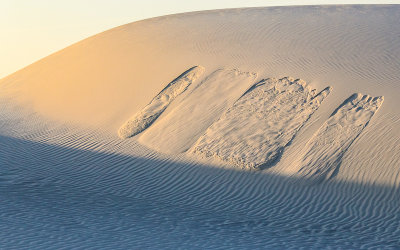 Sand slides on an early morning sunlit dune in White Sands National Monument