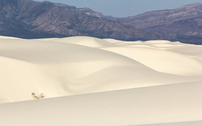 The gypsum dunes with the Andres Mountains in the background in White Sands National Monument