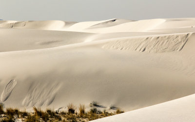 Gypsum dunes in White Sands National Monument