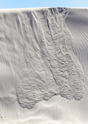 Sand sliding on the side of a dune in White Sands National Monument