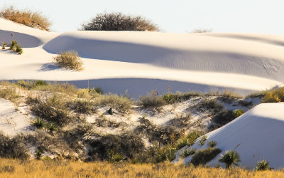 Dunes meet the surrounding desert in White Sands National Monument