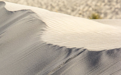 The crest of a dune in White Sands National Monument