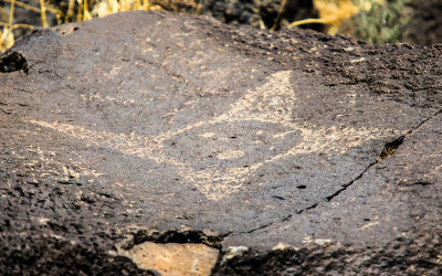 400 to 700 year old petroglyph in Piedras Marcadas Canyon in Petroglyph National Monument