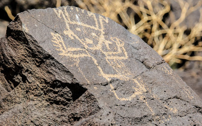 Petroglyph NM - New Mexico (2016)