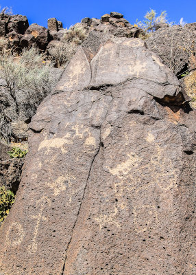 Rock wall in Piedras Marcadas Canyon in Petroglyph National Monument