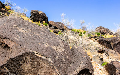 Animal figures and human hands pecked into stone in Piedras Marcadas Canyon in Petroglyph National Monument