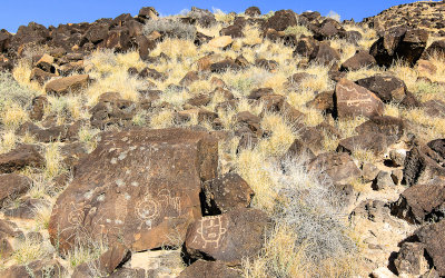 Multiple petroglyphs in Rinconada Canyon in Petroglyph National Monument