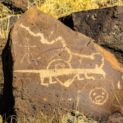 Human and animal carvings in Rinconada Canyon in Petroglyph National Monument