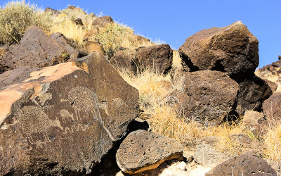 Grazing sheep carved around 1600 A.D. in Rinconada Canyon in Petroglyph National Monument