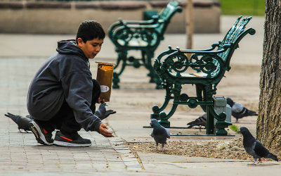 Boy feeding popcorn to the pigeons in Santa Fe Plaza