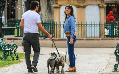 Couple walking their dogs in Santa Fe Plaza