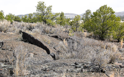 Lava flow along the Lava Falls Trail in El Malpais National Monument