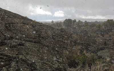 Snowstorm hits along the Lava Falls Trail in El Malpais National Monument