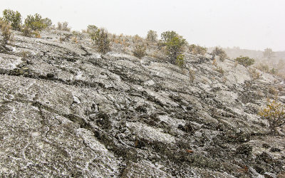 Snow accumulates on the lava along the Lava Falls Trail in El Malpais National Monument