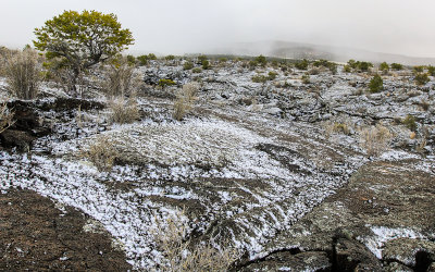 A snowstorm passes along the Lava Falls Trail in El Malpais National Monument