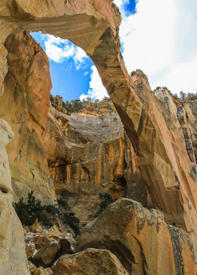 El Malpais National Monument  New Mexico