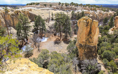 The box canyon from the top of the mesa in El Morro National Monument
