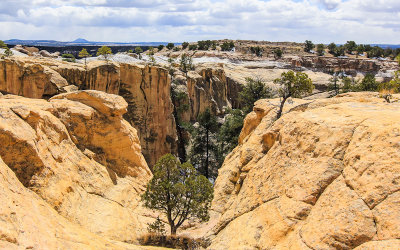 The box canyon in El Morro National Monument