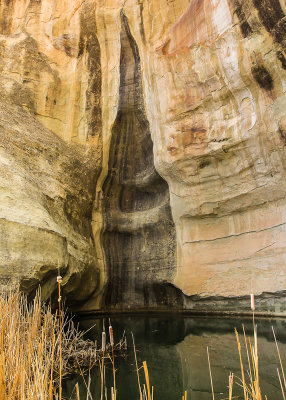 Runoff pool at the base of the mesa along Inscription Rock Trail in El Morro National Monument