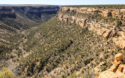 Balcony House (upper right) in Soda Canyon in Mesa Verde National Park