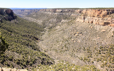 Navajo Canyon in Mesa Verde National Park