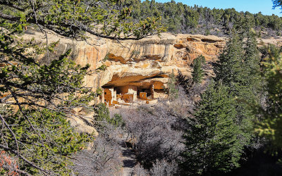 Spruce Tree House in Spruce Canyon in Mesa Verde National Park