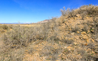 A ruins mound in Yucca House National Monument 