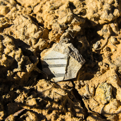 Painted pottery in the dirt in Yucca House National Monument