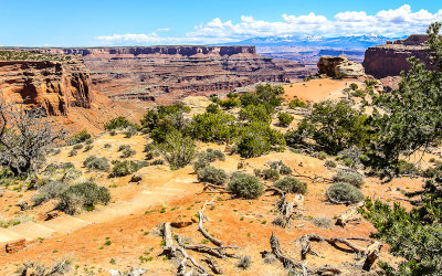 Shafer Canyon with the La Sal Mountains in the distance in Canyonlands National Park