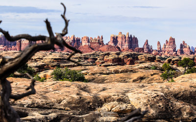 The Needles viewed from Pothole Point in Canyonlands National Park