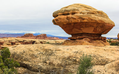 La Sal Mountains and rock formations along the Chesler Park Viewpoint Trail in Canyonlands National Park
