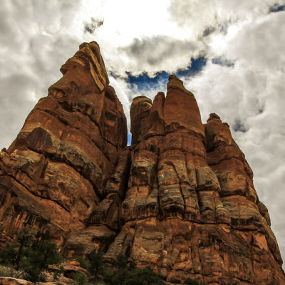 Sandstone spires along the Chesler Park Viewpoint Trail in Canyonlands National Park