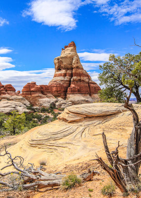 Rock formations along the Chesler Park Loop Trail in Canyonlands National Park