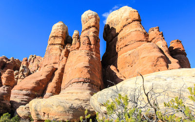 Sandstone spires along the Chesler Park Loop Trail in Canyonlands National Park