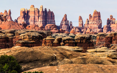 Sandstone spires in The Needles District in Canyonlands National Park