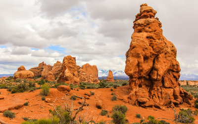 Rock formations in the Windows Section with the La Sal Mountains in the background in Arches National Park