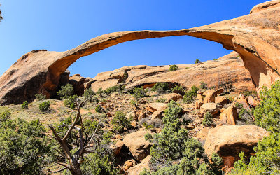 Landscape Arch, over 100 yards long, along the Devils Garden Trail in Arches National Park