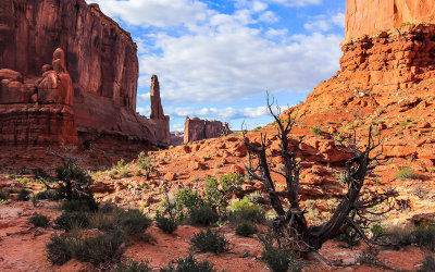 View of the Courthouse Towers Section from along the Park Avenue Trail in Arches National Park