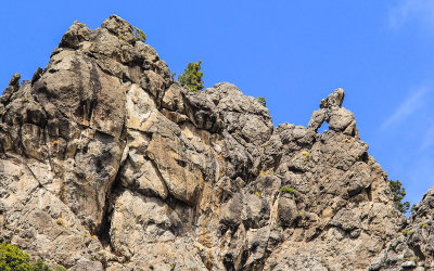 Monkey Rock along the Shoshone Road in Great Basin National Park