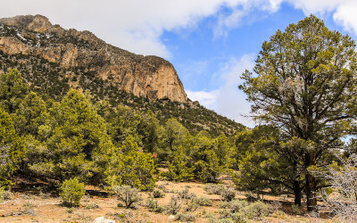 A rocky outcropping along the Shoshone Road in Great Basin National Park