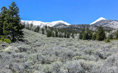 Pyramid Peak (11,926 ft.) from the terminus of the Shoshone Road in Great Basin National Park