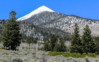 Pyramid Peak from the Shoshone Road in Great Basin National Park