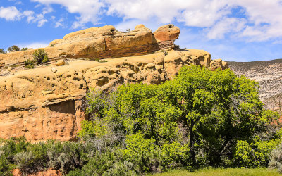 Turtle Rock along the Cub Creek Road in Dinosaur National Monument