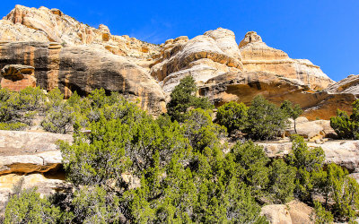 Sand Canyon along the Echo Park Road in Dinosaur National Monument 